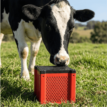 Filterbox - Cattle