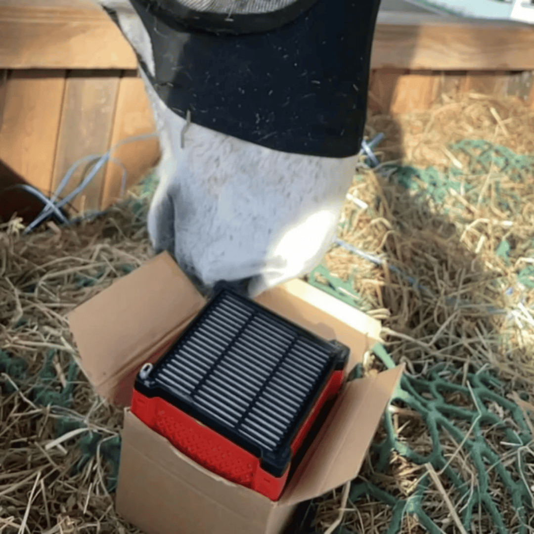 Filterbox